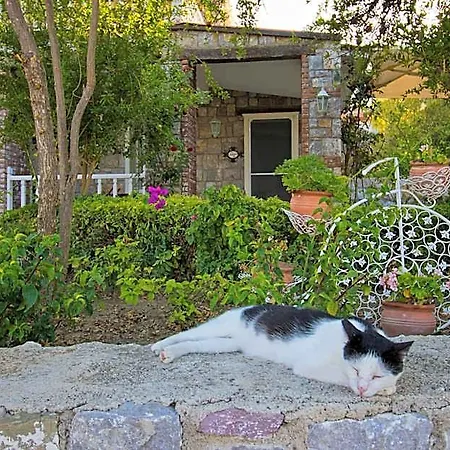Hotel Losta Sahil Evi - Adults Only +12